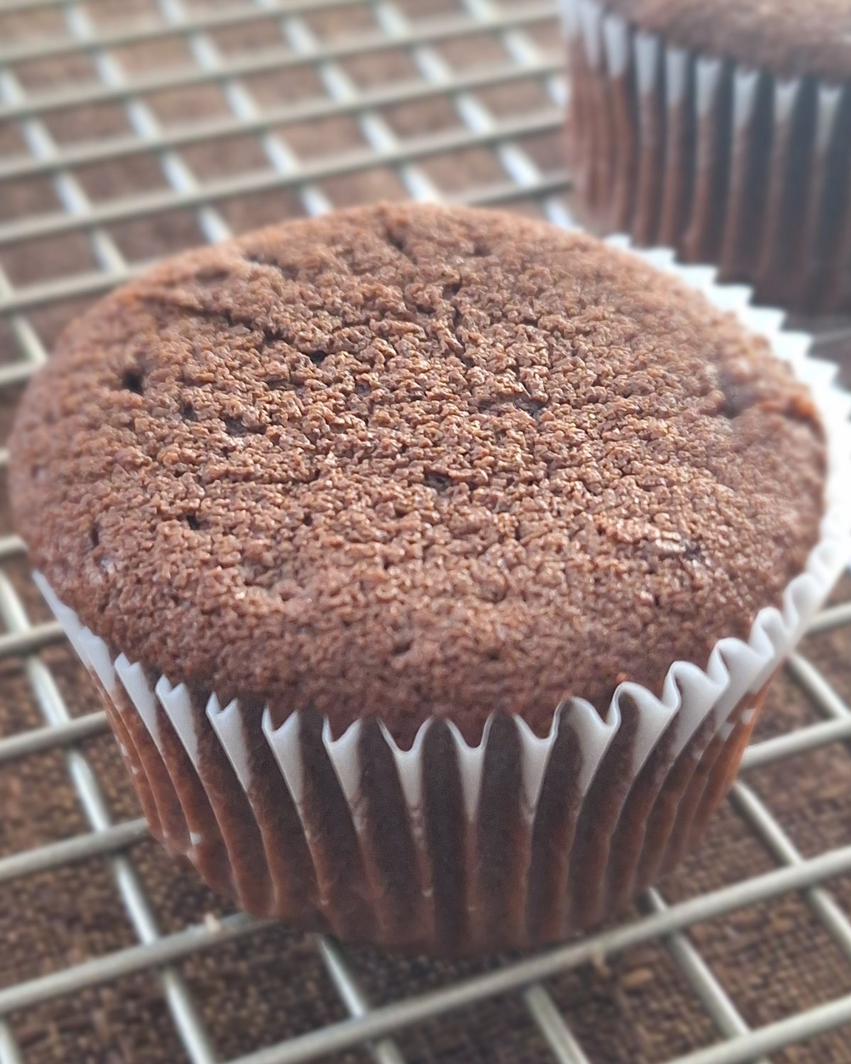 A chocolate muffin cooling on a rack in its paper case